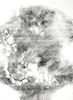 Carbon Dance, 2016, 11x15”, monotype, carbon on paper